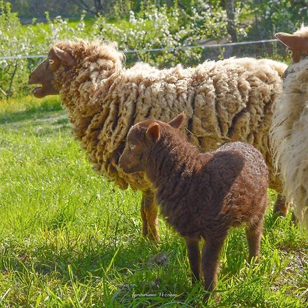 קיוזי דלה ורנה Agriturismo Vezzano מראה חיצוני תמונה