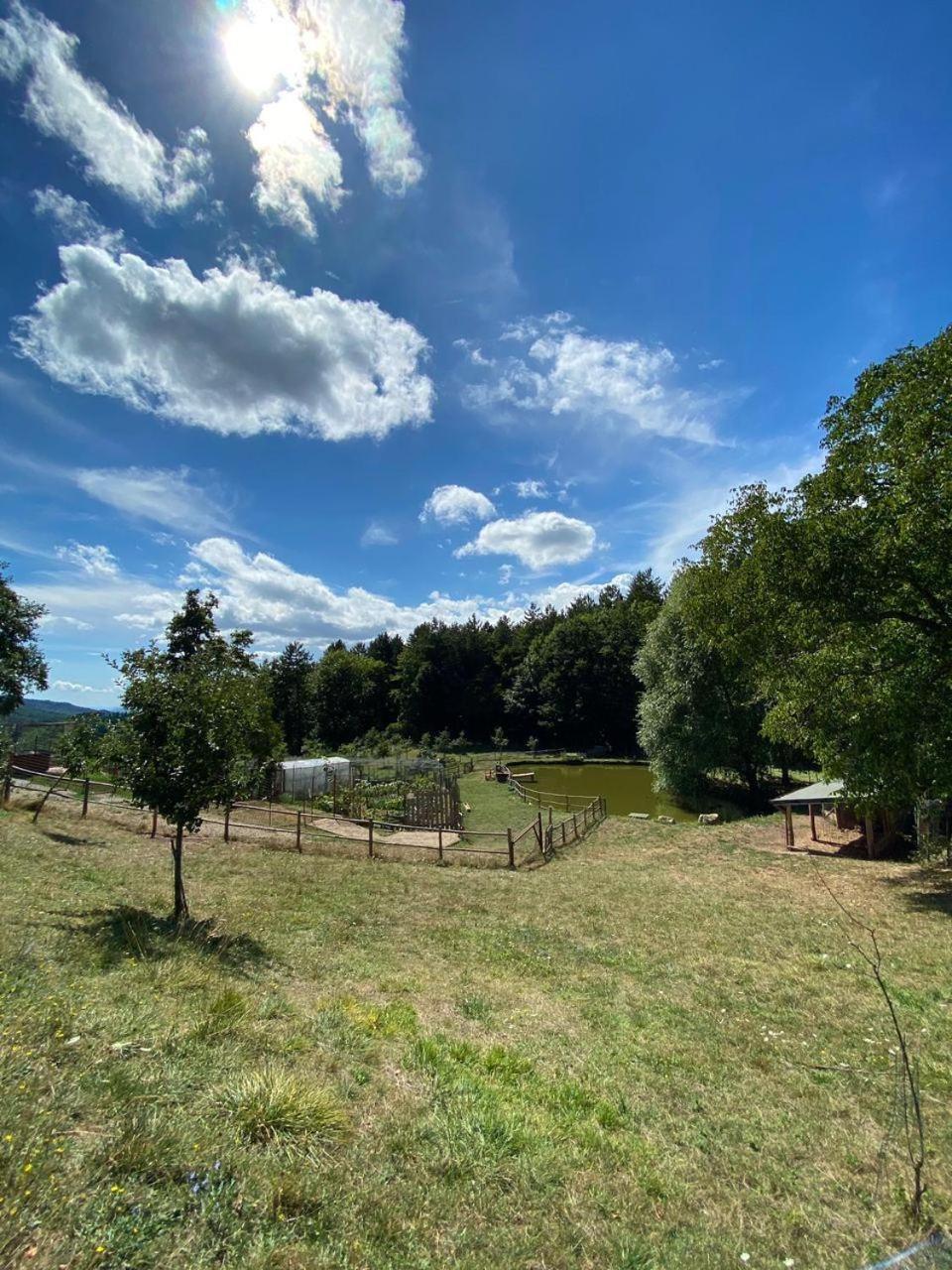 קיוזי דלה ורנה Agriturismo Vezzano מראה חיצוני תמונה