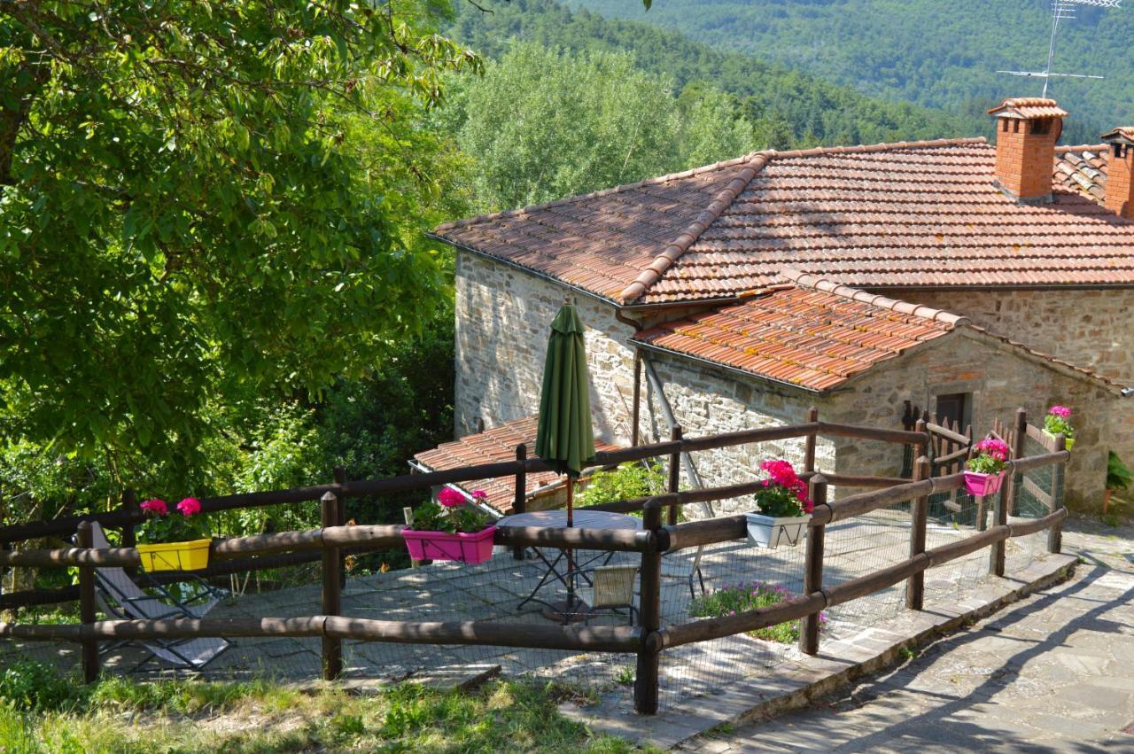קיוזי דלה ורנה Agriturismo Vezzano מראה חיצוני תמונה