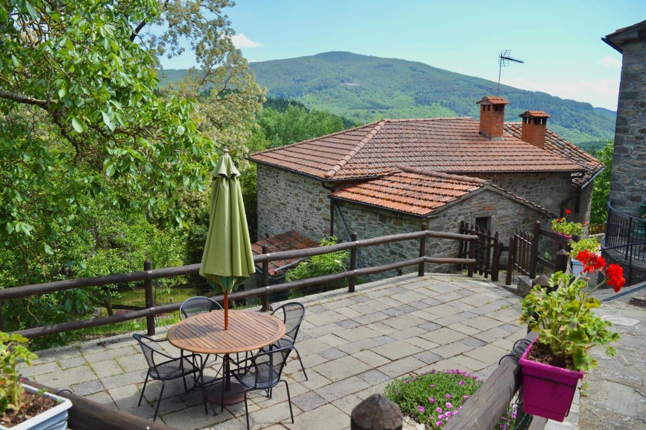 קיוזי דלה ורנה Agriturismo Vezzano מראה חיצוני תמונה