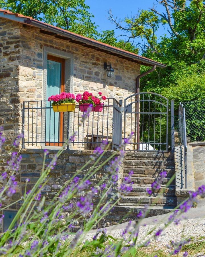 קיוזי דלה ורנה Agriturismo Vezzano מראה חיצוני תמונה