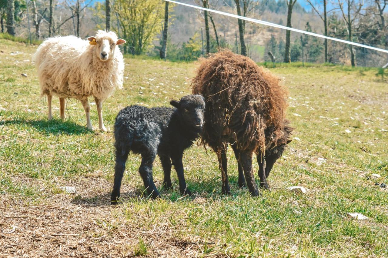 קיוזי דלה ורנה Agriturismo Vezzano מראה חיצוני תמונה