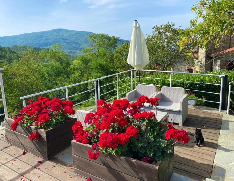 קיוזי דלה ורנה Agriturismo Vezzano מראה חיצוני תמונה