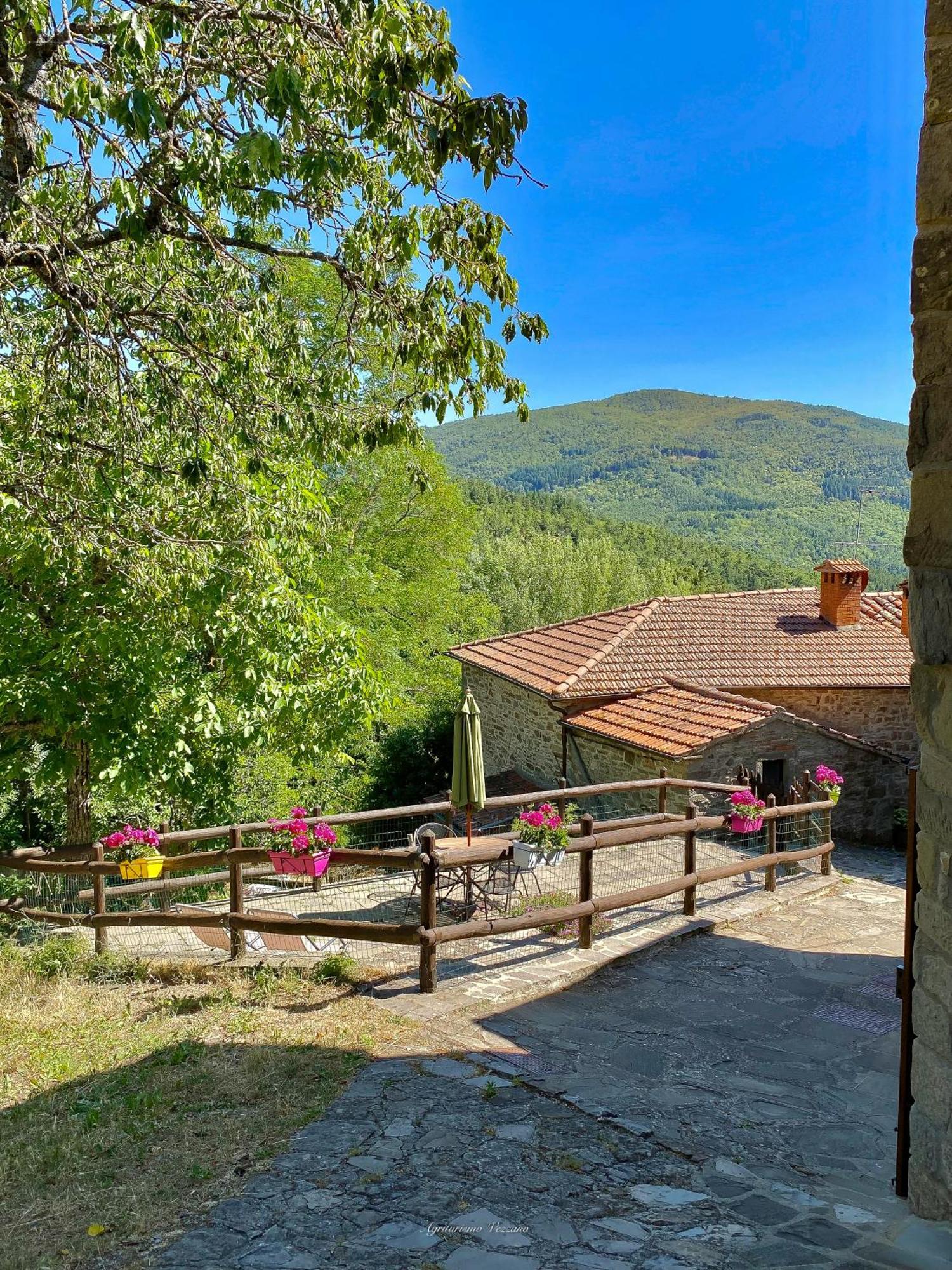 קיוזי דלה ורנה Agriturismo Vezzano חדר תמונה