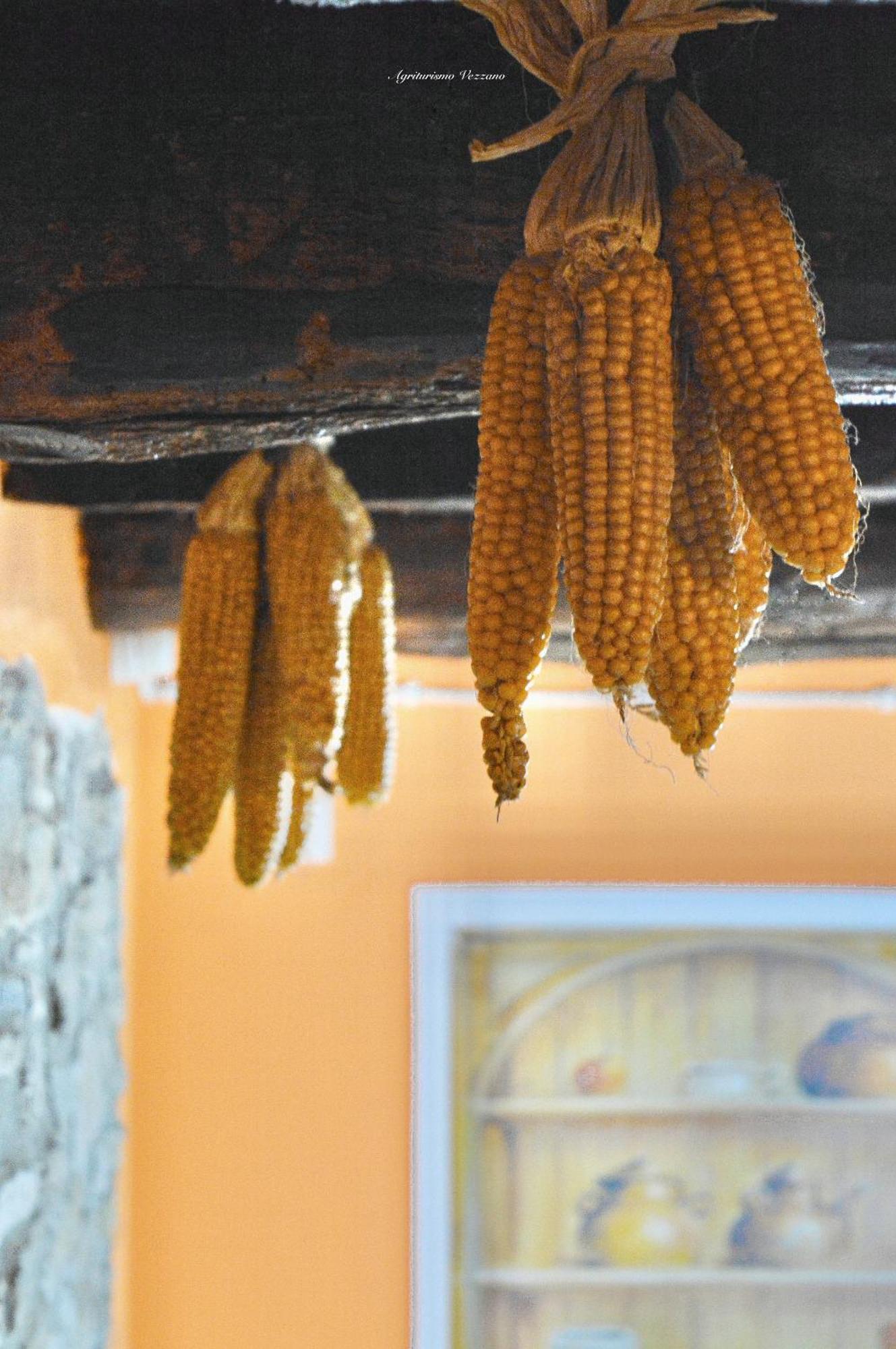 קיוזי דלה ורנה Agriturismo Vezzano חדר תמונה